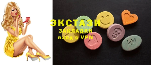 ECSTASY Ельня